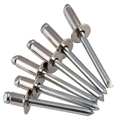 الفولاذ المقاوم للصدأ المسامير الغاطسة